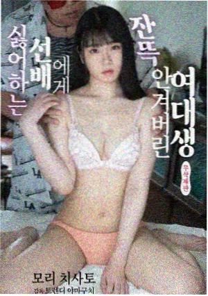 繁花全集免费观看